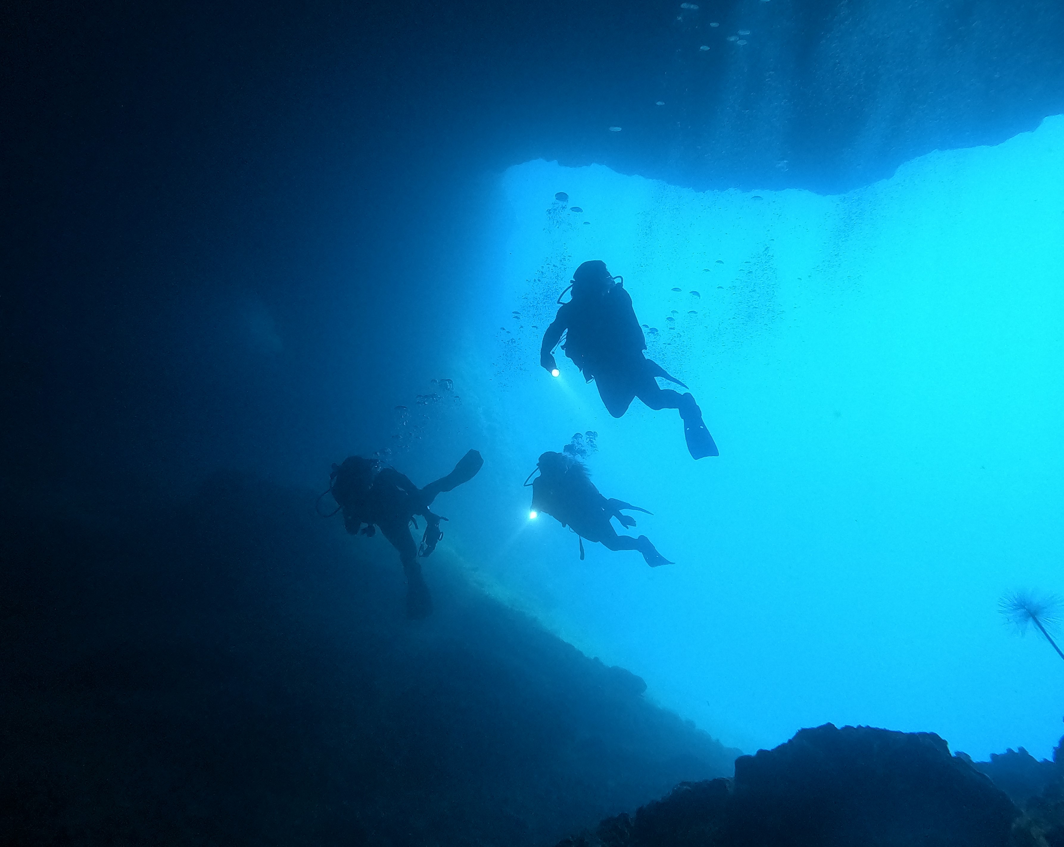 NIMA - Naxos Diving Center picture 5